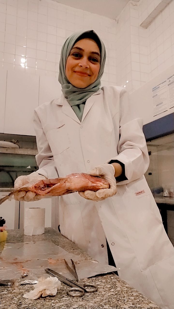 Amira Ezzat Ibrahim Awad Elganam